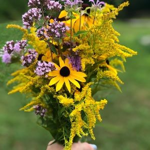 Meet your Posher, Cams